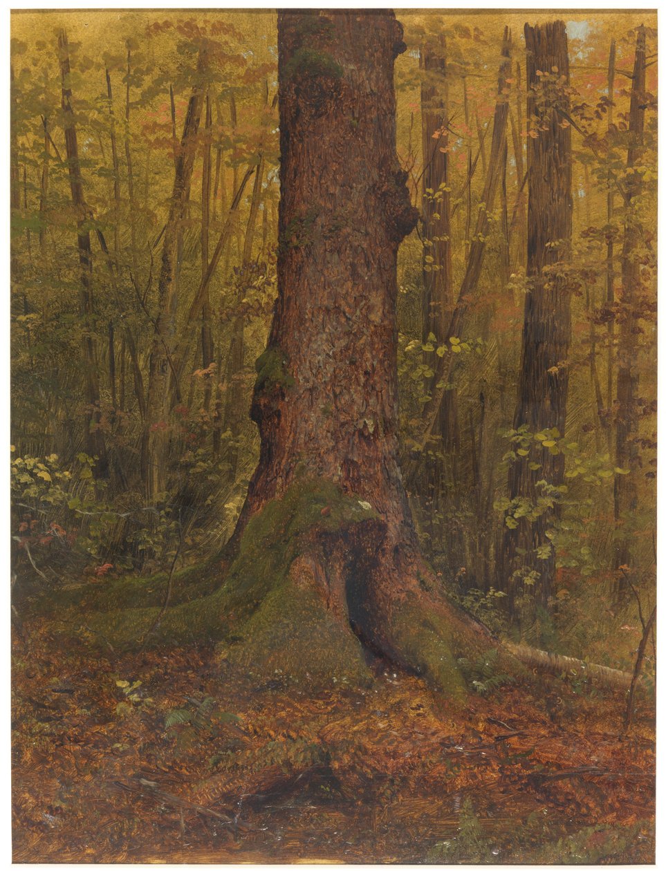 Teckning, I skogen, troligen Maine, 1850-60 av Frederic Edwin Church