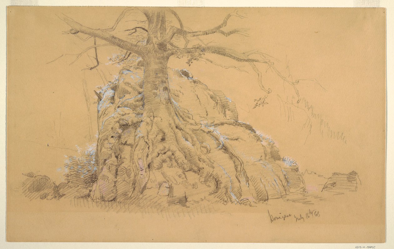 Teckning, Königssee-träd, 16 juli 1868 av Frederic Edwin Church