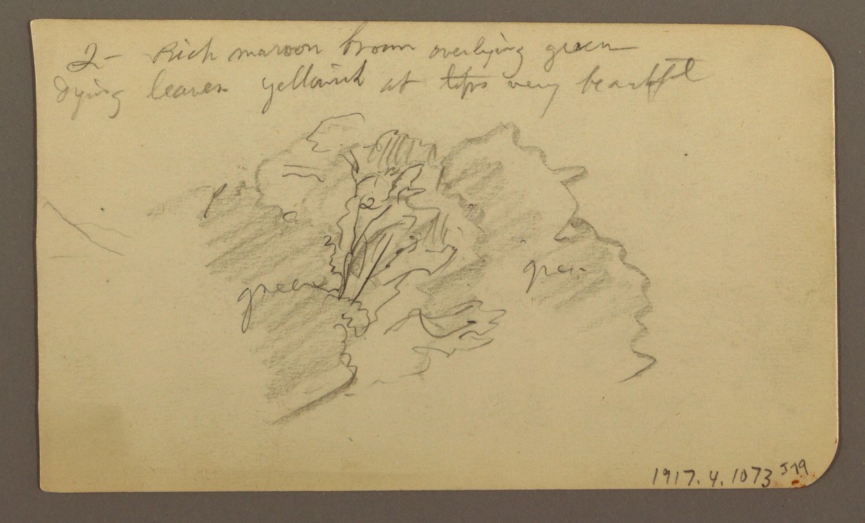 Teckning, Landskap, hus; Averso: Trädtopp, februari 1885 av Frederic Edwin Church