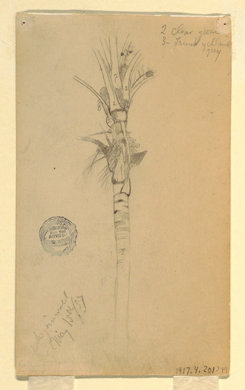 Teckning, Blad och stam av en palm, Aspinwall, Panama, 15 maj 1857 av Frederic Edwin Church