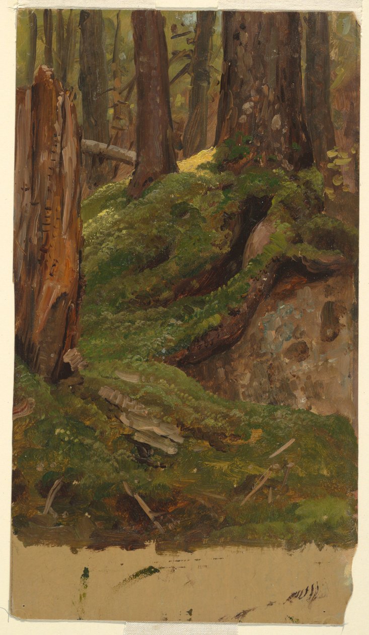 Teckning, Maine  skog, 1855-65 av Frederic Edwin Church