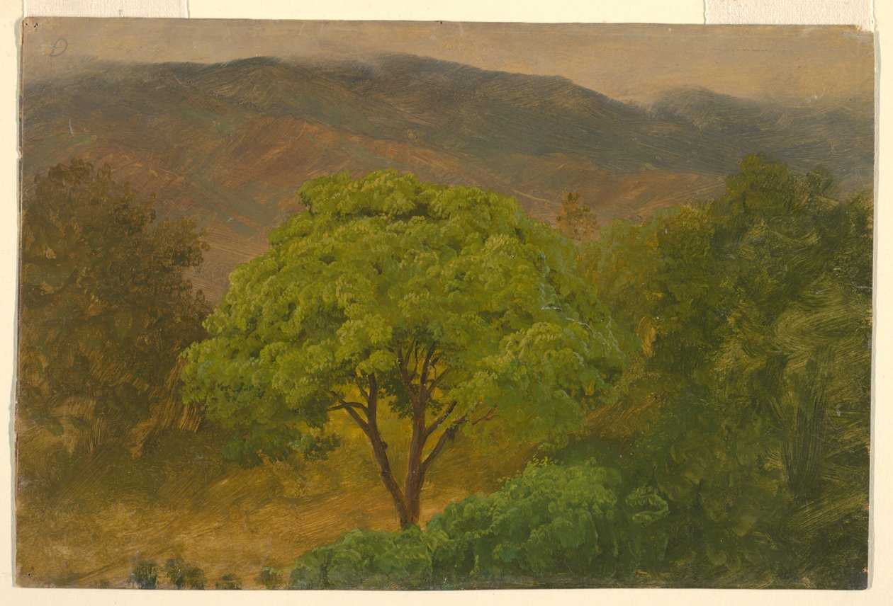 Teckning, Bergslandskap, augusti 1865 av Frederic Edwin Church