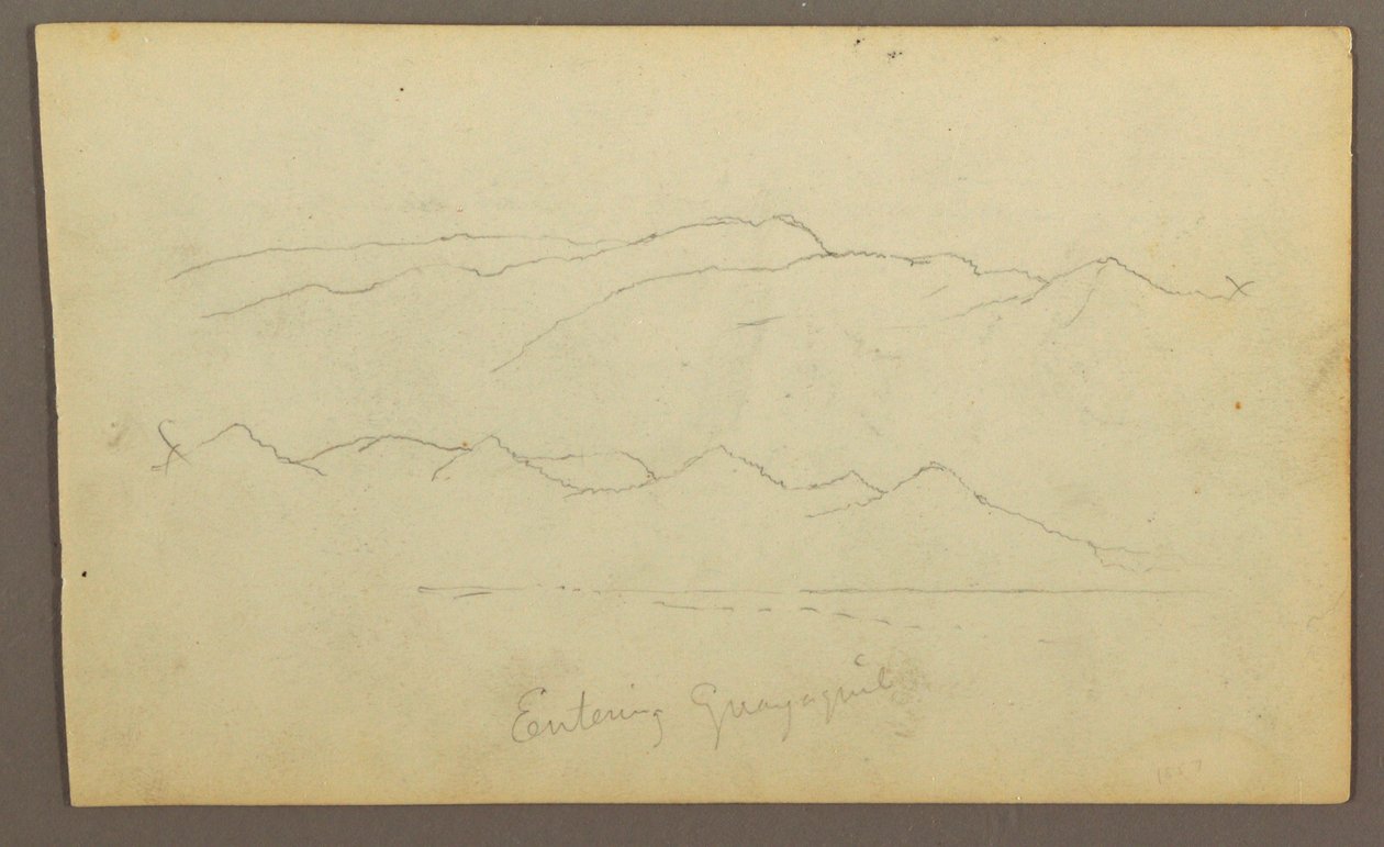 Teckning, bergskedjor "som går in i Guayaquil"; Verso: Flodbank, botaniska skisser, möjligen 1857 av Frederic Edwin Church