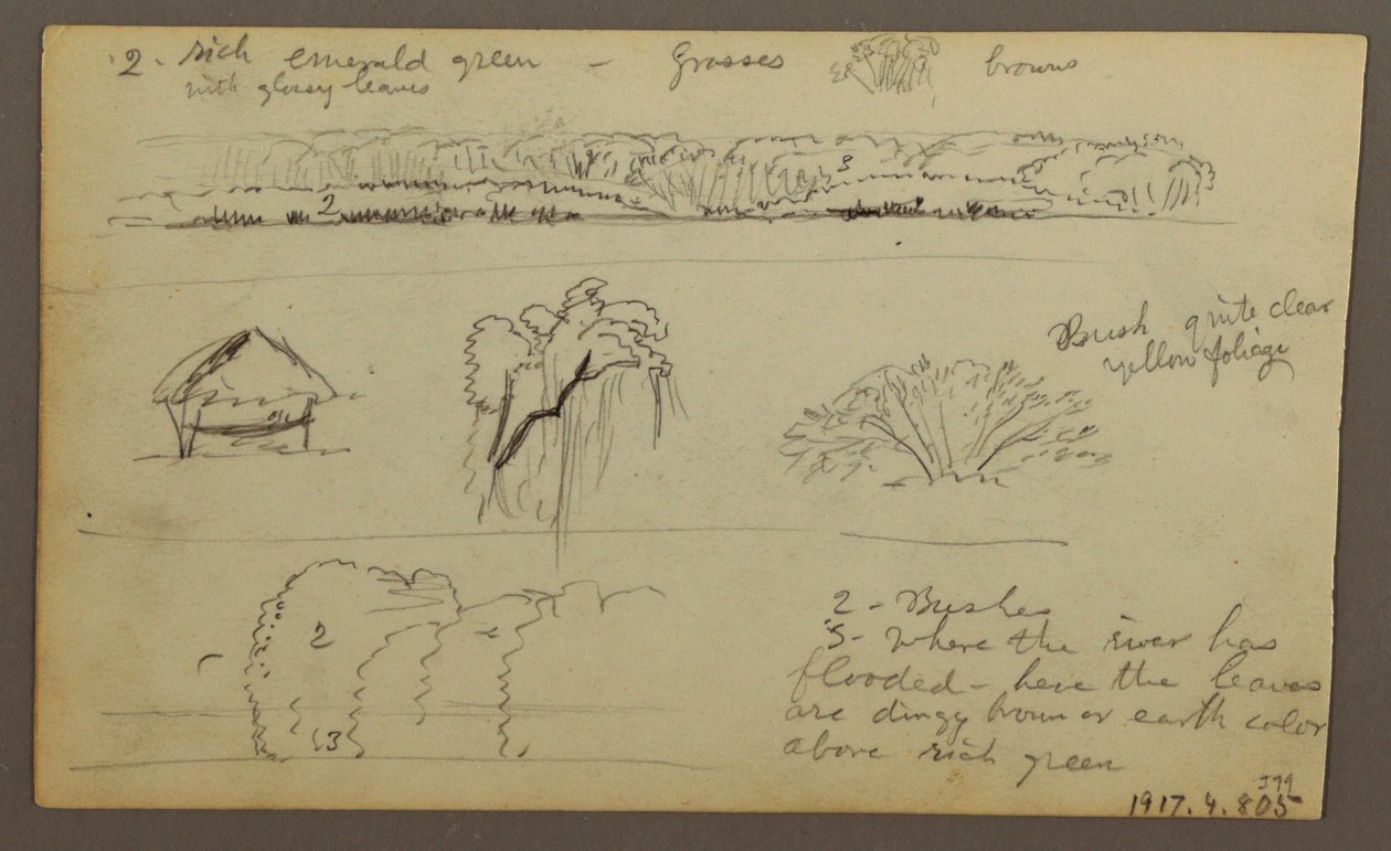 Teckning, bergskedjor "som går in i Guayaquil"; Verso: Flodbank, botaniska skisser, möjligen 1857 av Frederic Edwin Church