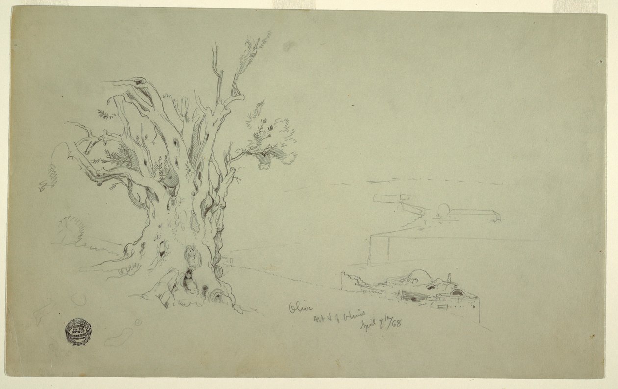 Teckning, Olivträd, Olivberget, apri 1868 av Frederic Edwin Church