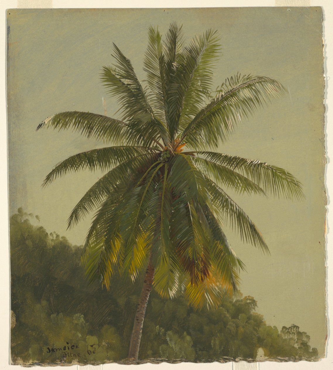 Teckning, Palmer, Västindien, juni 1865, 1865 av Frederic Edwin Church