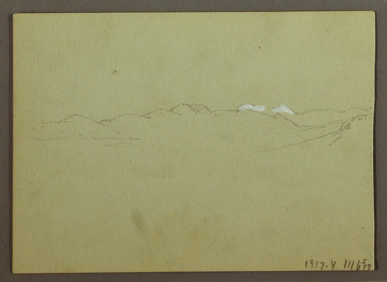 Teckning, växt- och landskapsstudie, 28 april 1869 av Frederic Edwin Church