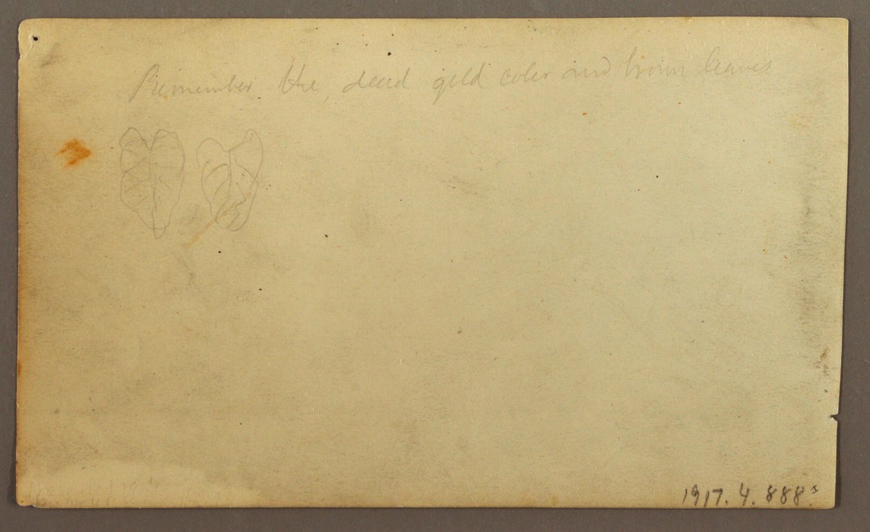 Teckning, floden Limona nära en by, Ecuador eller Colombia; Averso: Blad, 1857 av Frederic Edwin Church