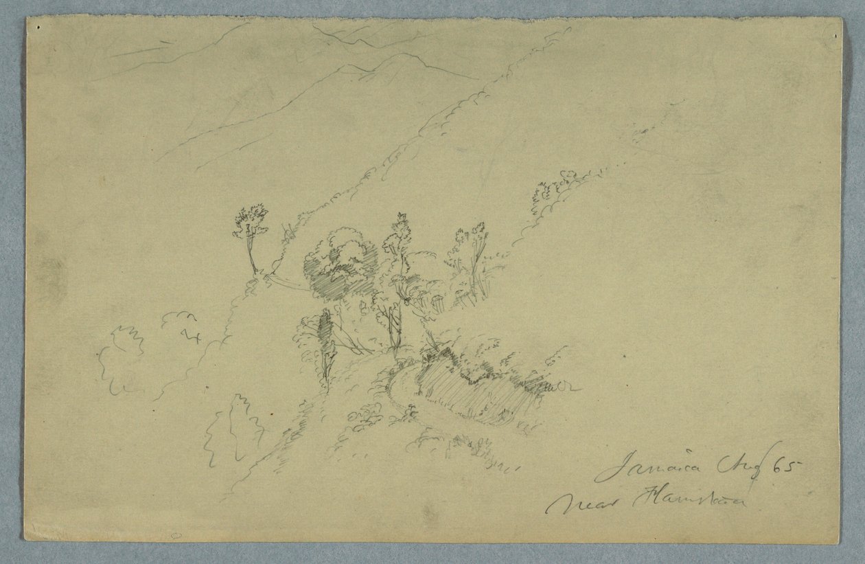 Ritning, Väg genom Blue Mountains, nära Homestead, Jamaica, augusti 1865 av Frederic Edwin Church