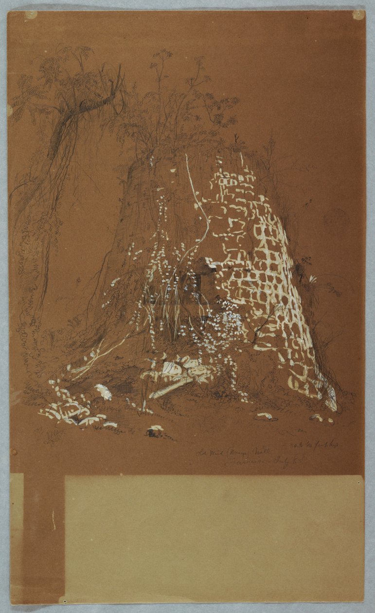 Ritning, Ruinerad gammal väderkvarn, Jamaica, juli 1865 av Frederic Edwin Church