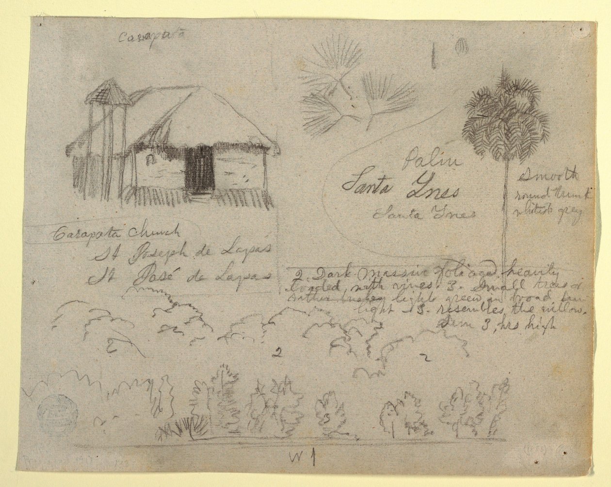 Teckning, San Jose de Lapas-kyrkan, Carapata och botaniska studier, troligen Colombia, 1853 av Frederic Edwin Church