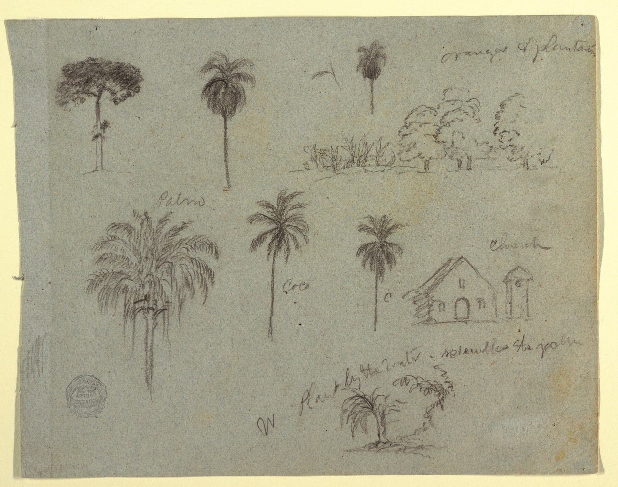 Teckning, skisser från Rio Magdalene, Columbia:  Botaniska studier och en kyrka, maj 1853 av Frederic Edwin Church