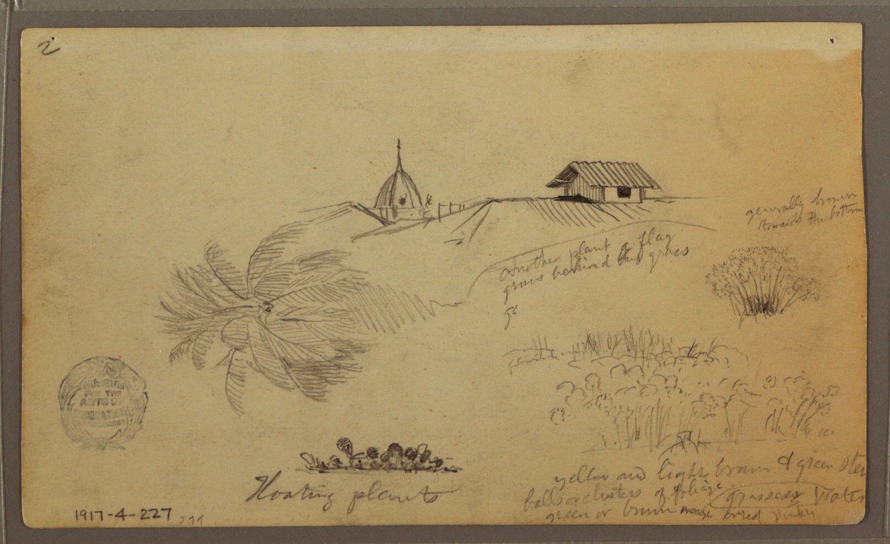 Teckning, Himmel över havet; Verso: Botaniska skisser, Hustak, maj 1857 av Frederic Edwin Church