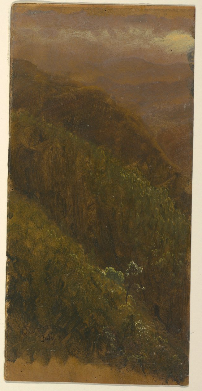 Ritning, Brant sluttning, juli 1865 av Frederic Edwin Church