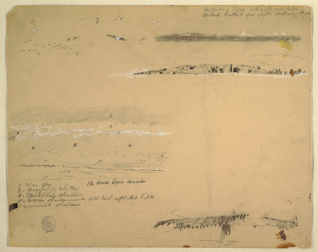 Teckning, Studier av måsar, klippig kust och molnig himmel, Great Manan, Kanada, september 1851 av Frederic Edwin Church