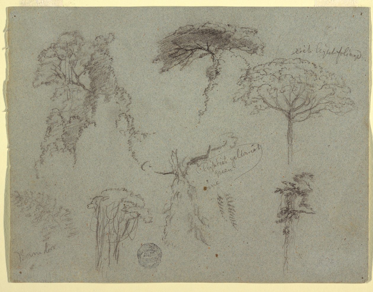 Teckning, Studier av träd, Ecuador, 1853 av Frederic Edwin Church
