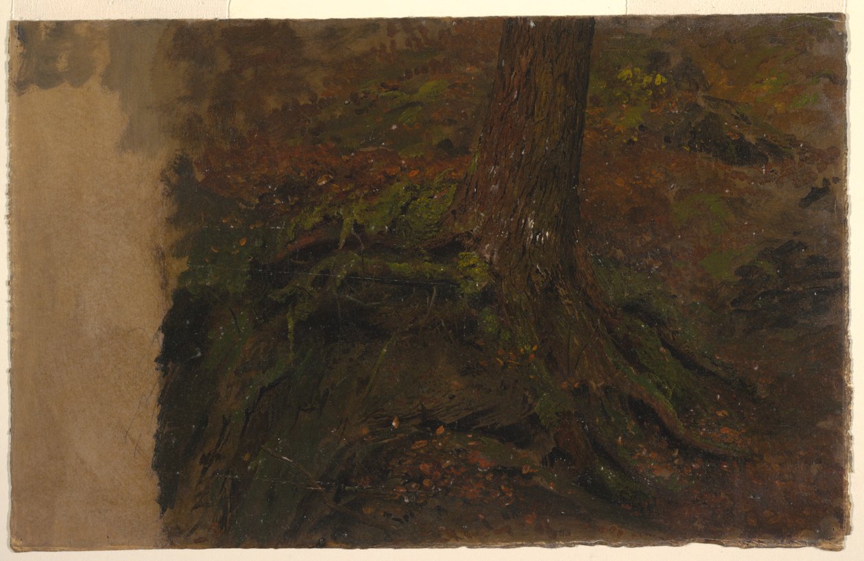 Teckning, studie av en trädstam, 1850-60 av Frederic Edwin Church
