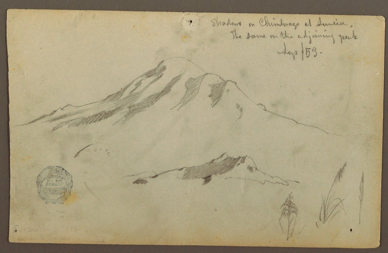Teckning, Soluppgång på berget Chimborazo och tre detaljer av gräs, september 1853 av Frederic Edwin Church