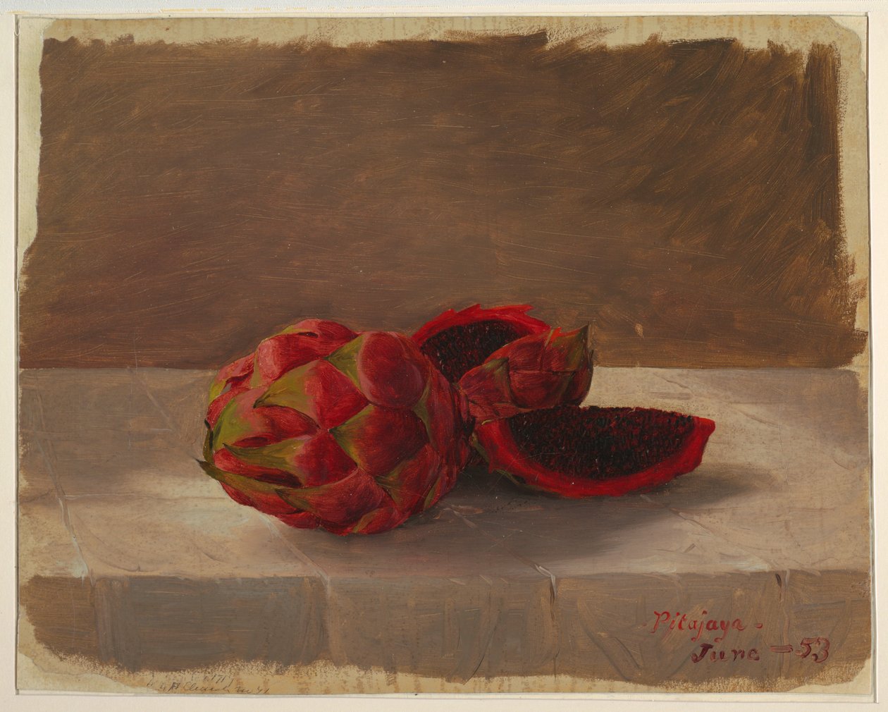 Teckning, Pitajaya-frukten, Colombia, juni 1853 av Frederic Edwin Church