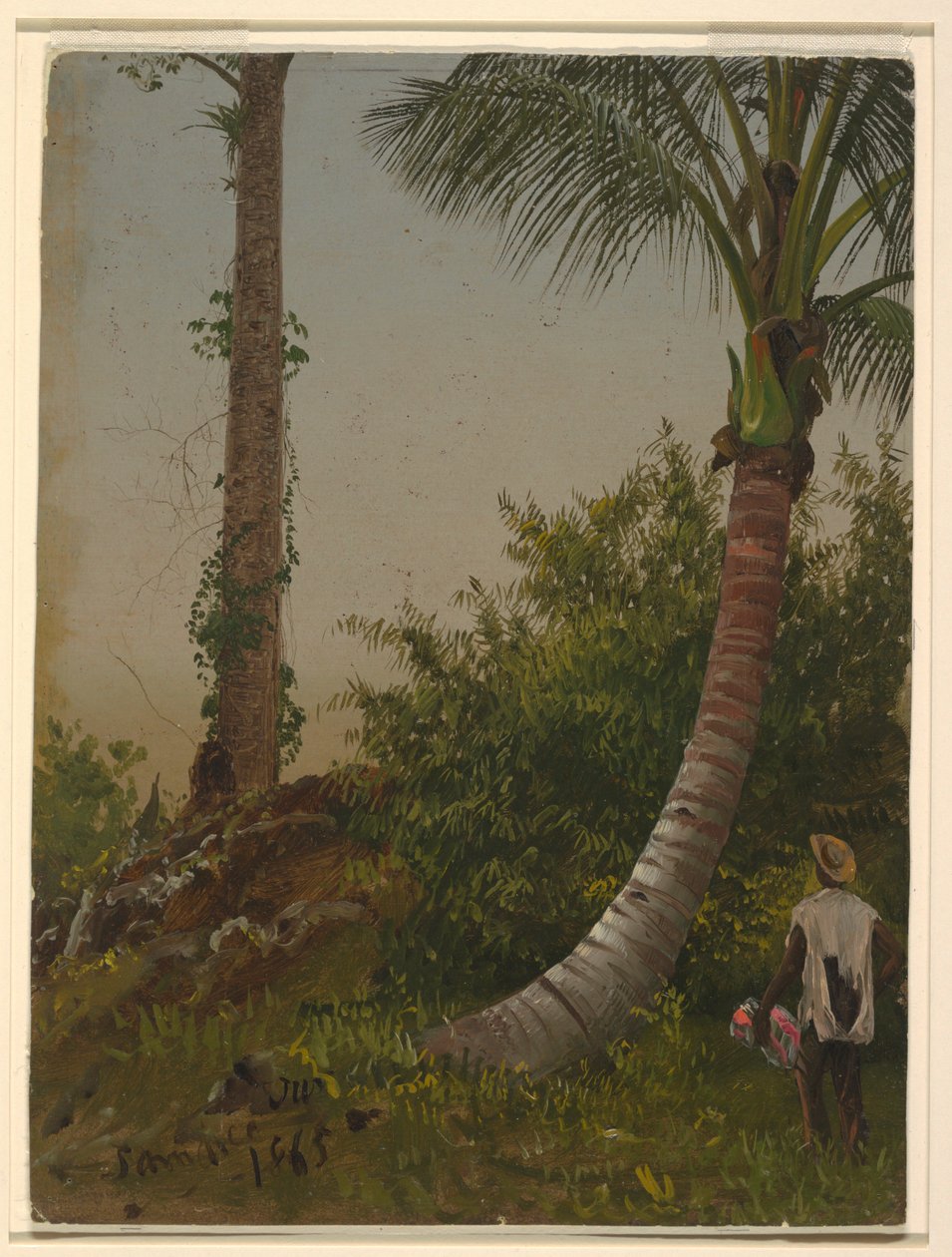 Teckning, Träd på Jamaica, Västindien, 1865 av Frederic Edwin Church