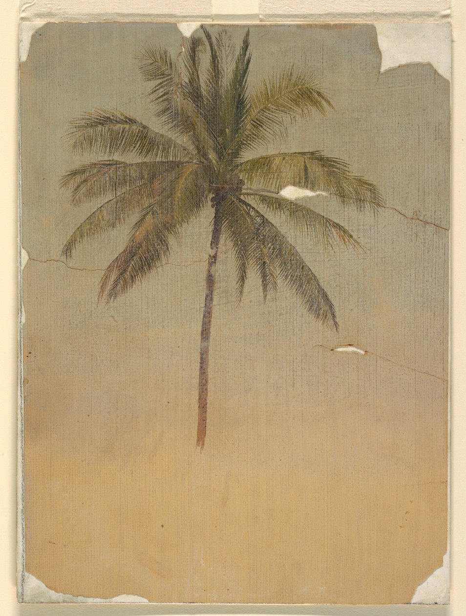 Teckning, Stam och topp på en palm, 1865 av Frederic Edwin Church