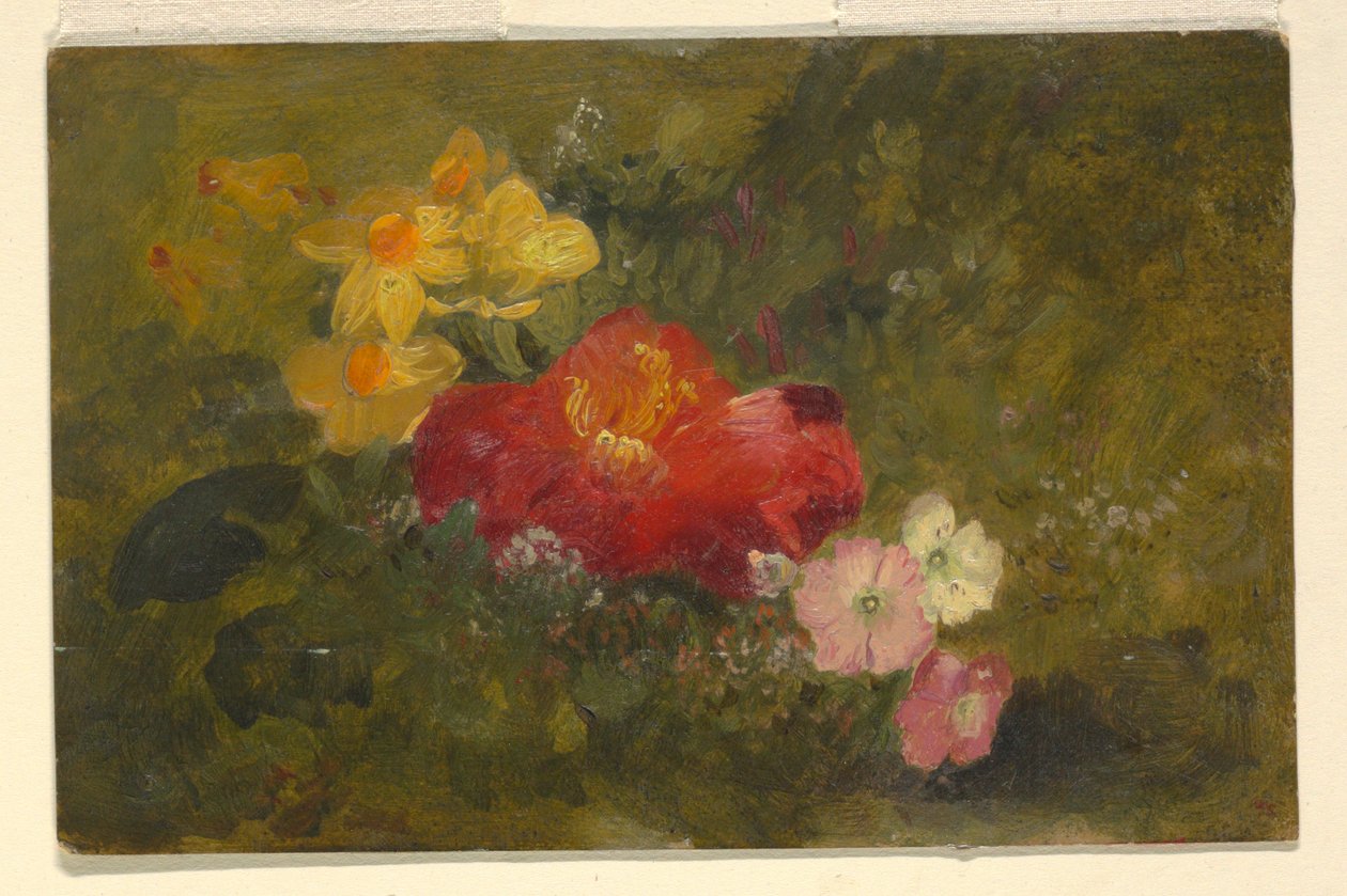 Teckning, Vilda blommor, Jamaica, 1865 av Frederic Edwin Church
