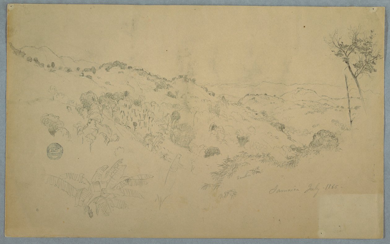Teckning, Skogbevuxen dal med en stor ormbunke och avlägsna bergskedjor, Jamaica, juli 1865 av Frederic Edwin Church