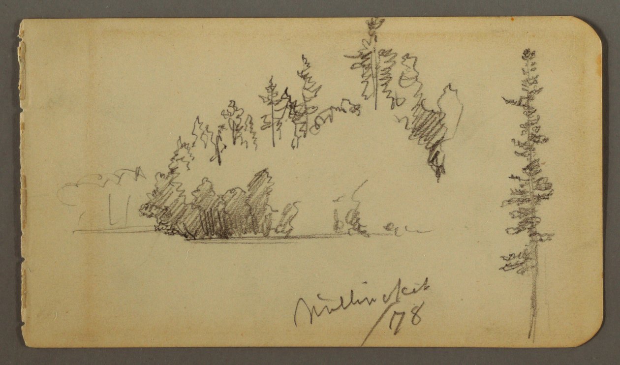 Teckning, Skogsklädd strand, trädstudie, 1878 av Frederic Edwin Church