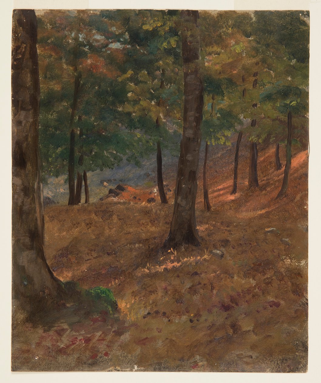 Teckning, skogsscen, 1870-80 av Frederic Edwin Church
