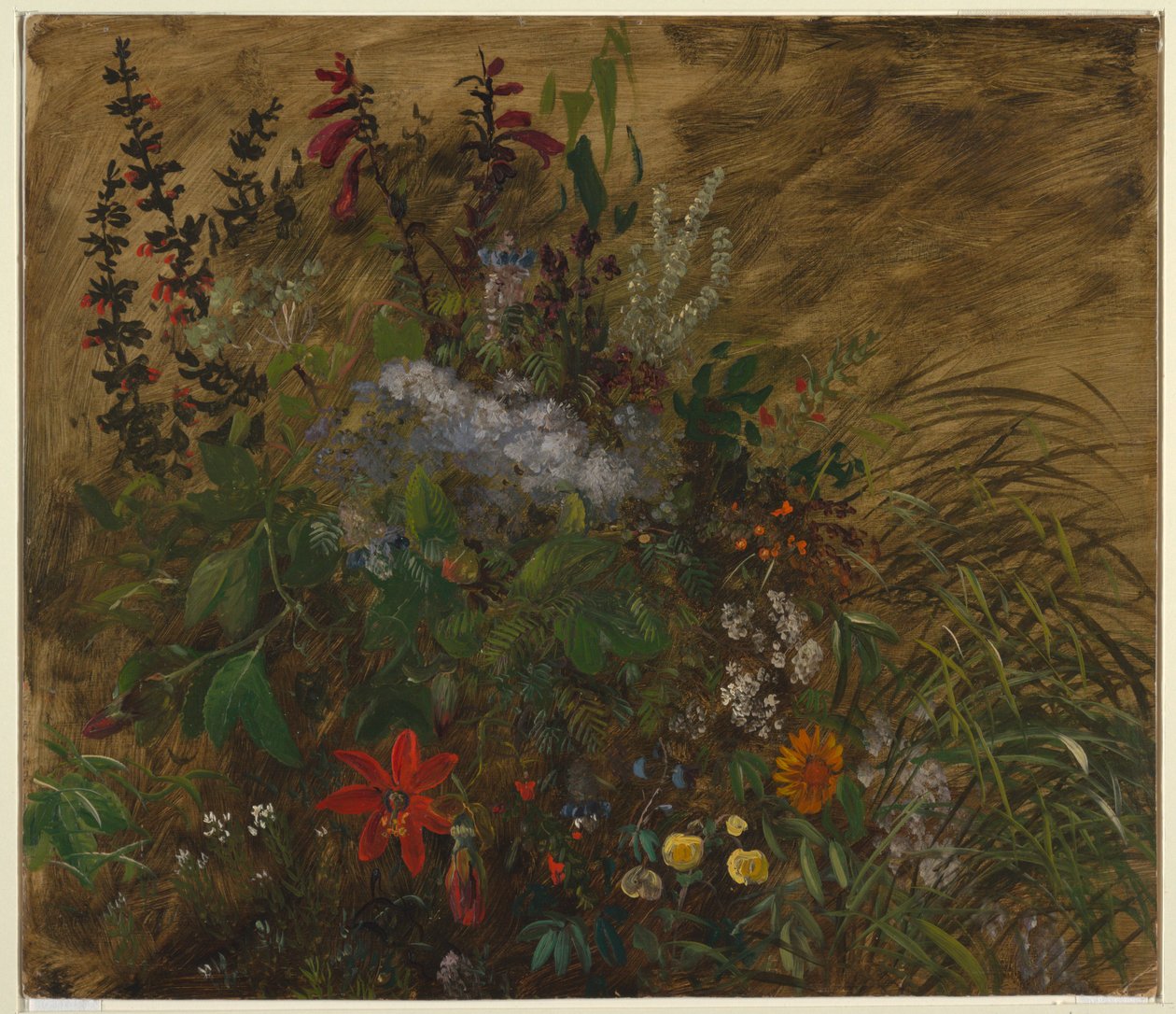Blommor på Jamaica av Frederic Edwin Church