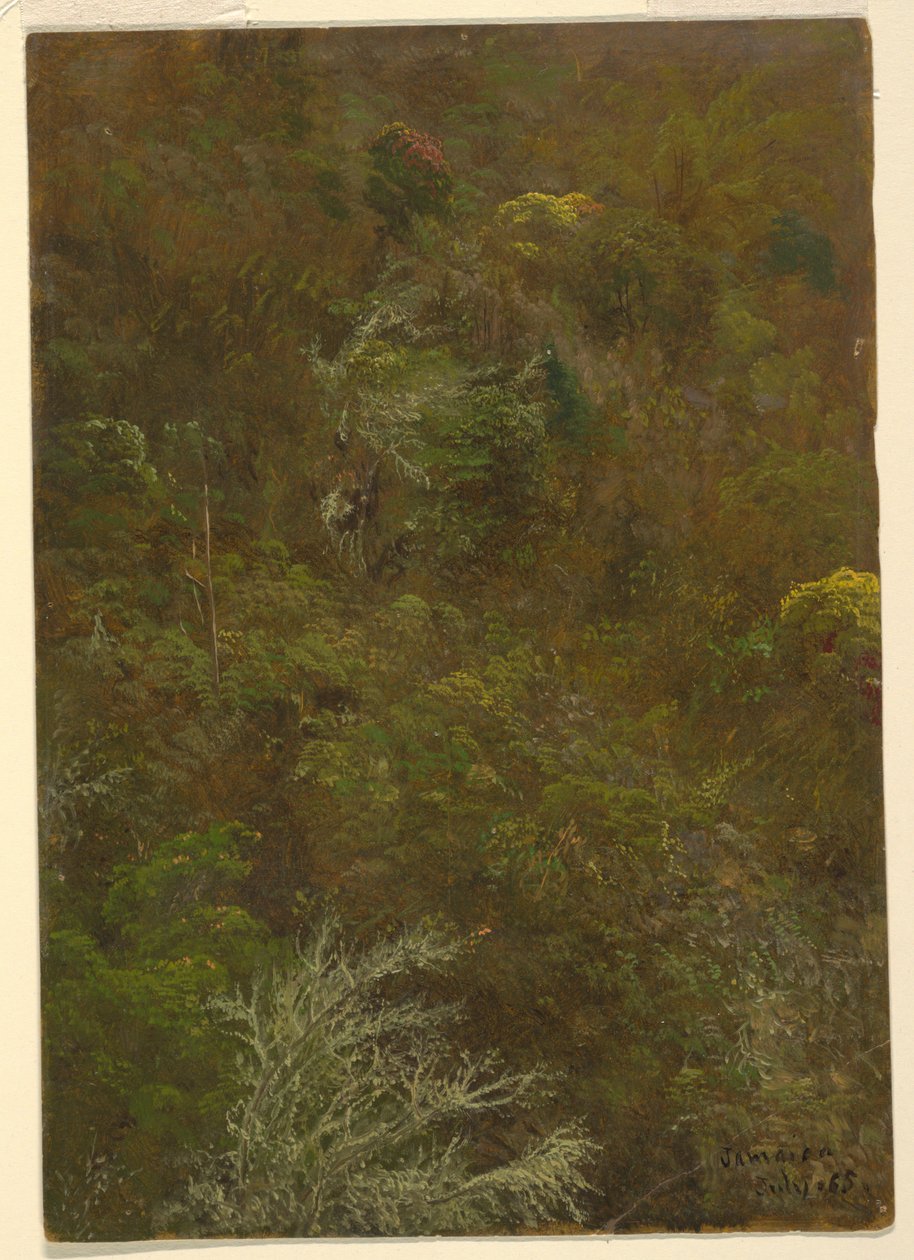 Hillside with Trees, Jamaica av Frederic Edwin Church