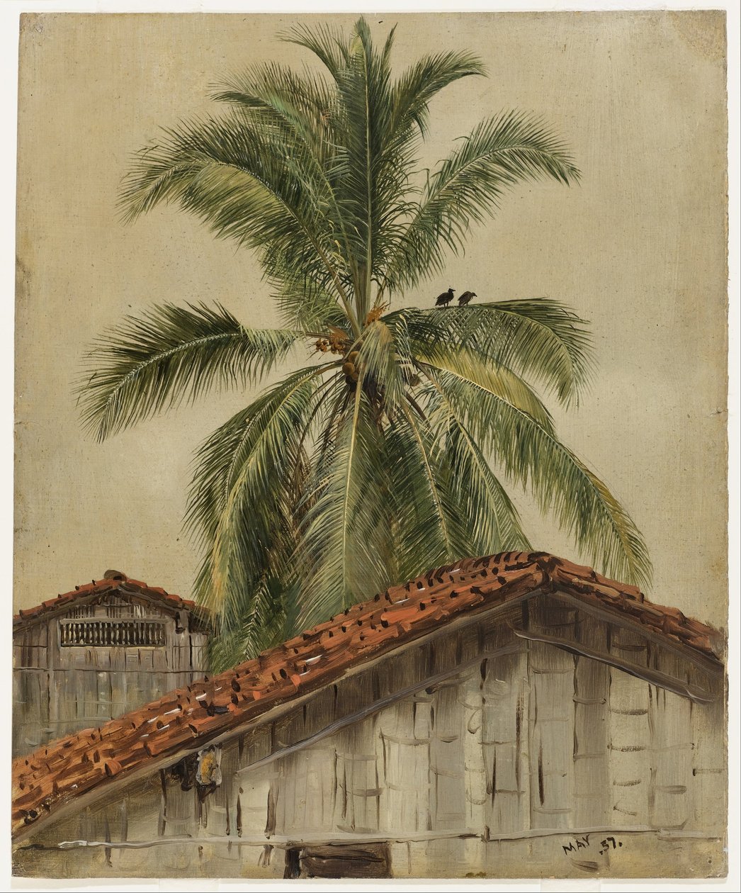 Palmer och hustak, Ecuador av Frederic Edwin Church