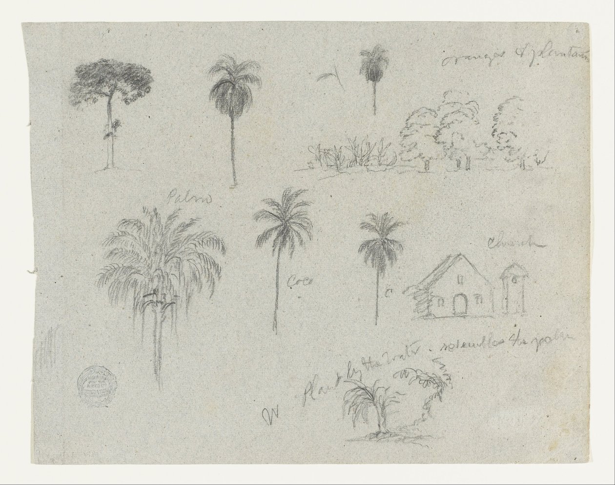 Skisser från Rio Magdalena, Colombia.  Botaniska skisser. En kyrka.  Liknar -103. av Frederic Edwin Church