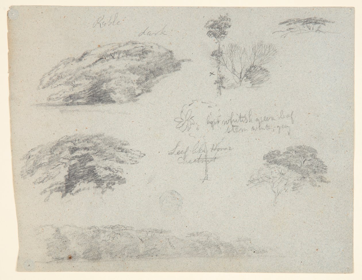 Träd, trädtoppar och en trädbevuxen bank, Saddleback, Maine av Frederic Edwin Church