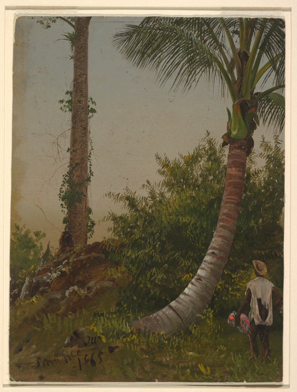 Träd i Jamaica, Västindien av Frederic Edwin Church