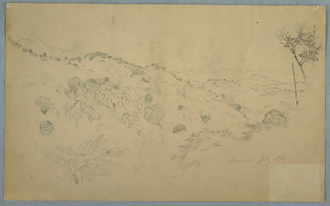 Wooded Vale med en stor ormbunke och avlägsna bergskedjor, Jamaica av Frederic Edwin Church