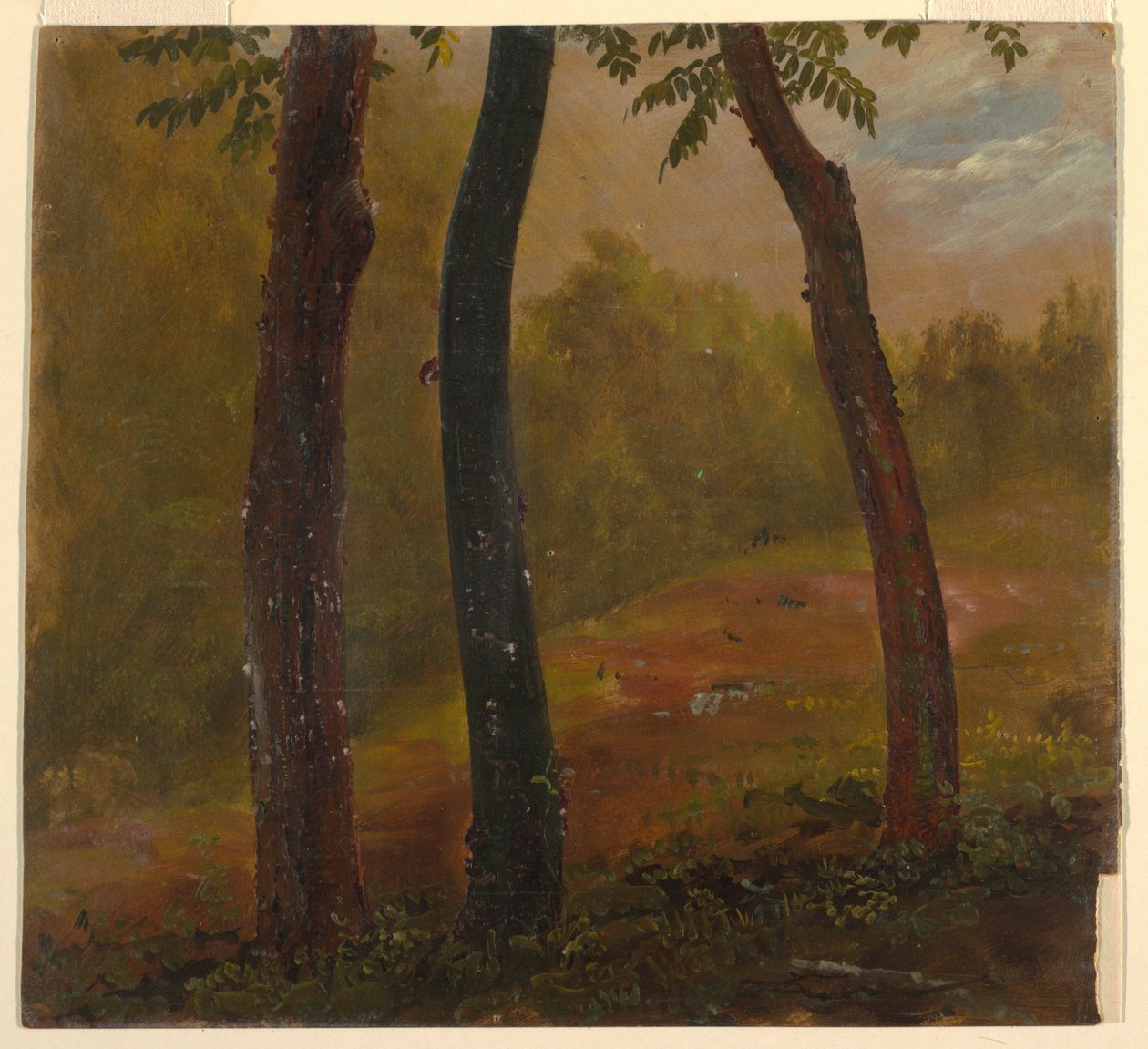Woodland Scene, Jamaica av Frederic Edwin Church