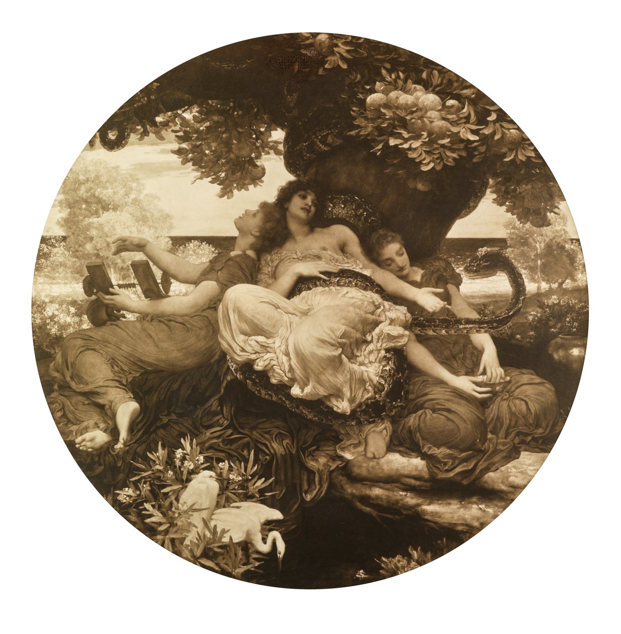 The Garden of Hesperides (fotogravyr) av Frederic Leighton