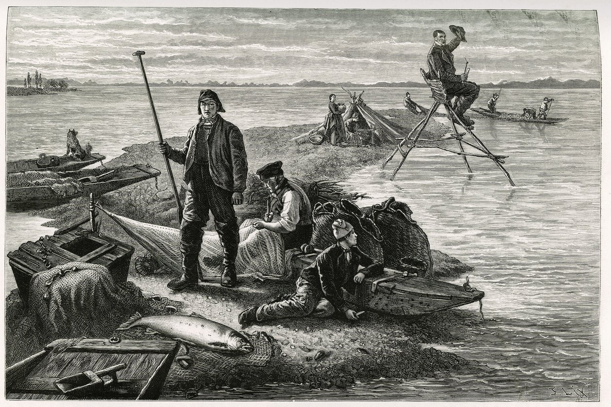 Laxfiske. Gravyr av F.Lix, för att illustrera berättelsen "Genom Alsace och Lorraine", 1884, av Charles Grad (1842-1890), tysk deputerad, författare och naturforskare. Publicerad i Le Tour du monde, nouveau journal des voyages, 2:a terminen 1885, redigerad av Frederic Theodore Lix