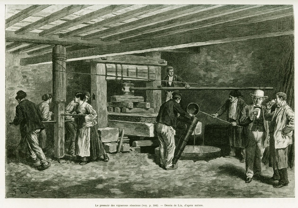 Vinpressen för vinmakarna i Alsace. Gravyr av Lix, för att illustrera berättelsen A Through Alsace and Lorraine, 1887, av Charles Grad, tysk deputerad, i tour du monde 1888, regisserad av Edouard Charton (1807-1890), Hachette, Paris. av Frederic Theodore Lix