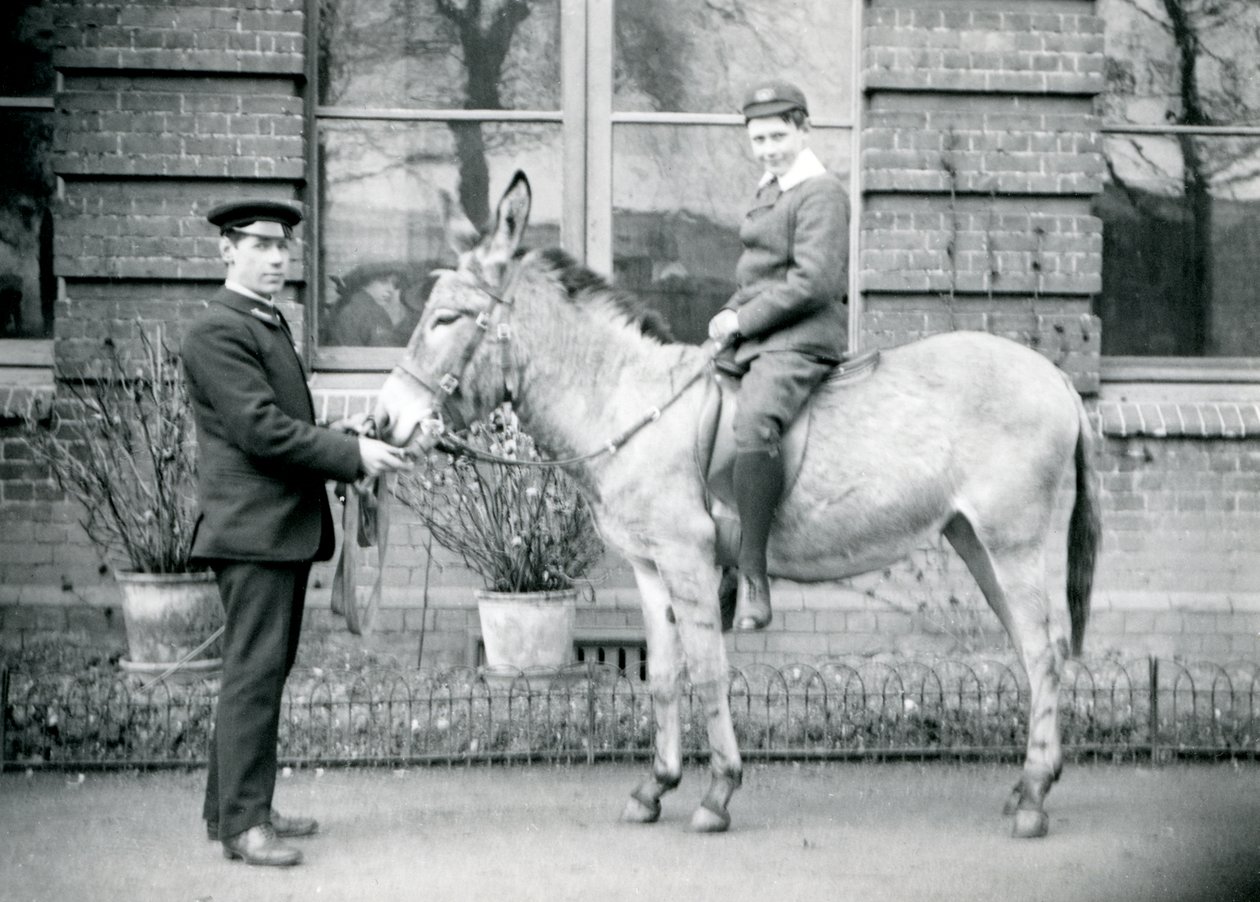 En målvakt leder en åsna som rids av en pojke, London Zoo, juni 1913 av Frederick William Bond