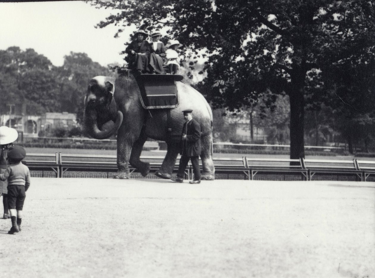 En asiatisk elefant som rids av två damer och en ung flicka, med en djurhållare vid sin sida, London Zoo, maj 1914 av Frederick William Bond