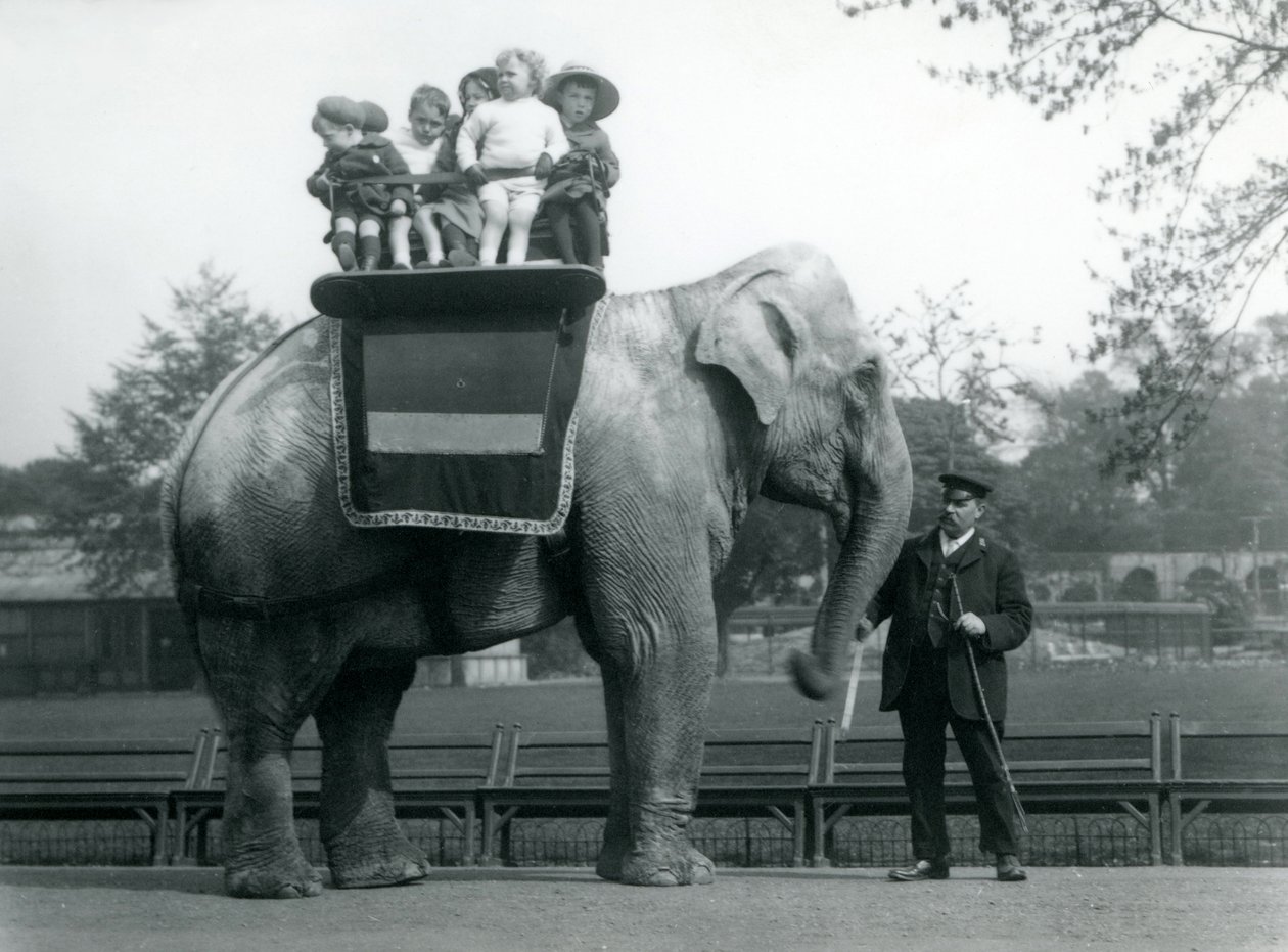 En indisk elefant, med djurhållare, tar med små barn på en tur på London Zoo, c.1913 av Frederick William Bond