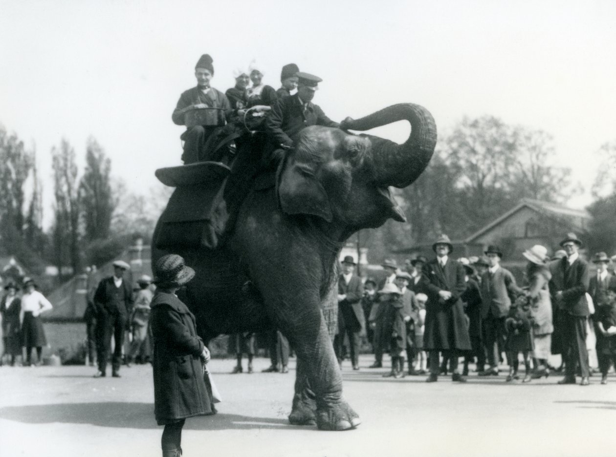 Armeniska besökare rider på Indiarani, bevakad av massor av åskådare, London Zoo, maj 1923 (bw-foto) av Frederick William Bond