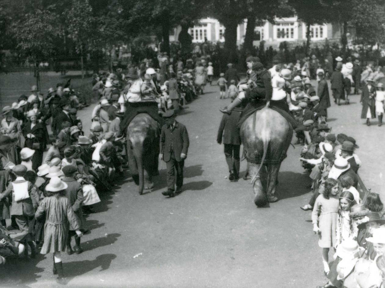 Asiatiska elefantturer med massor av åskådare på London Zoo, 1922 (bw foto) av Frederick William Bond