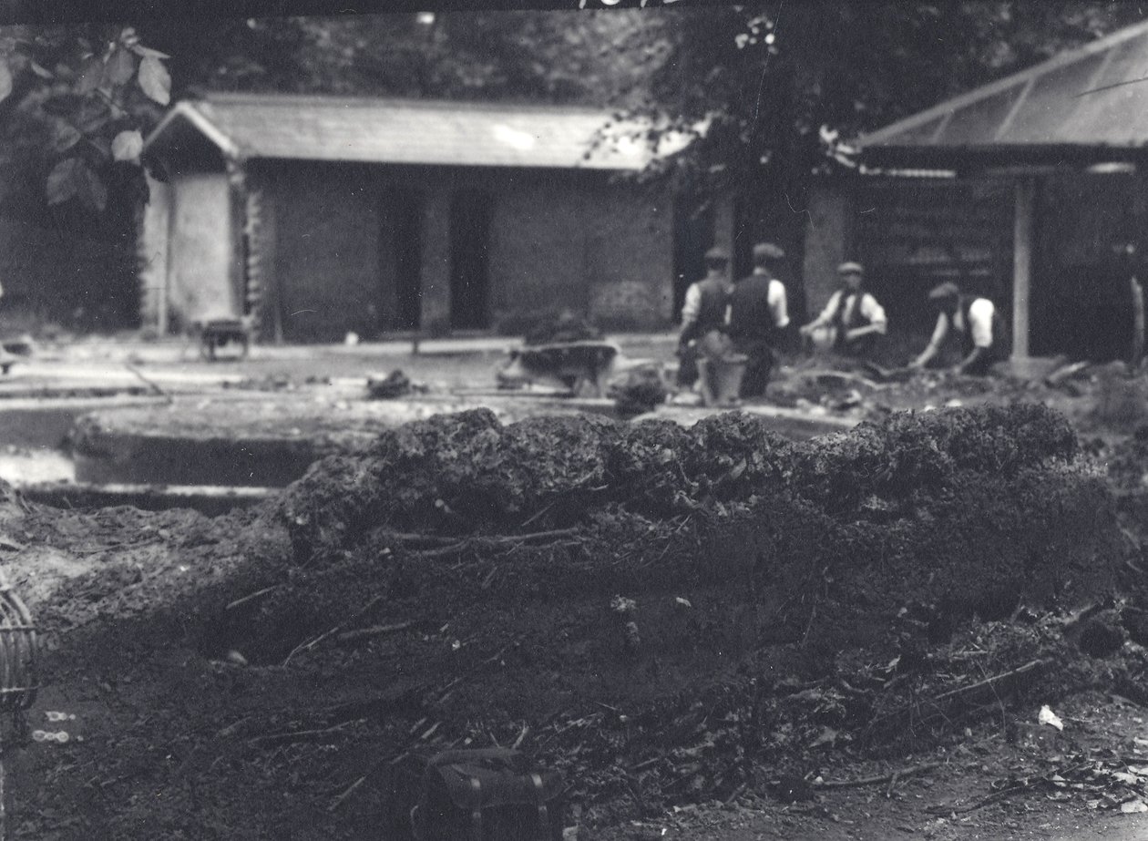 Bäverstuga med djurskötare i bakgrunden, London Zoo, juli 1916 av Frederick William Bond