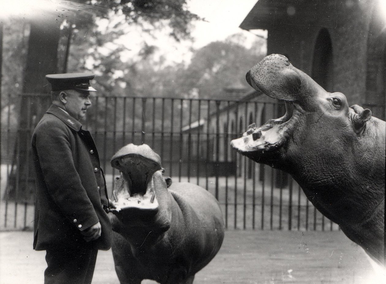 Bobbie och Joan, 1923 av Frederick William Bond