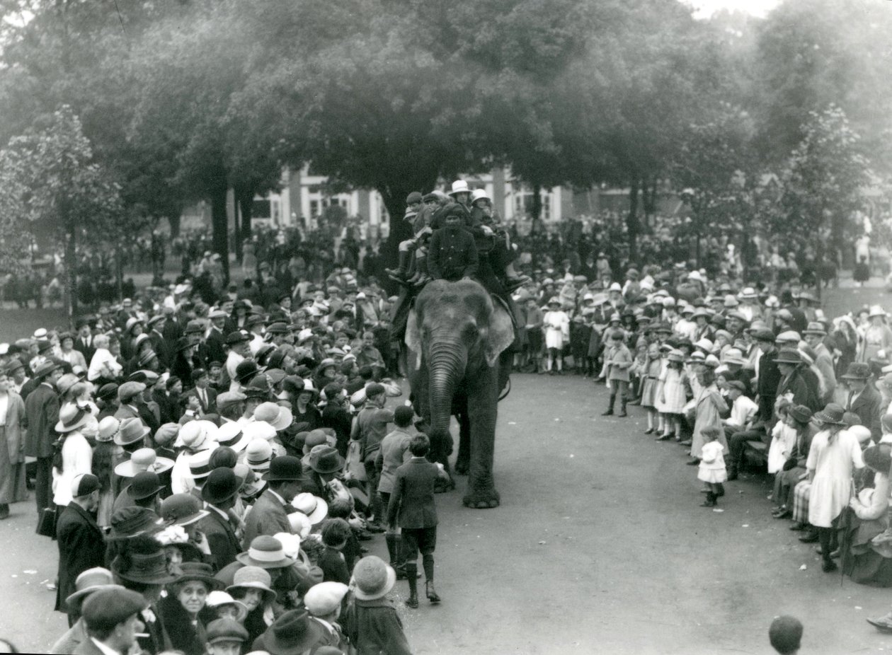 En folkmassa tittar på en elefanttur på London Zoo, augustihelgen 1922. av Frederick William Bond