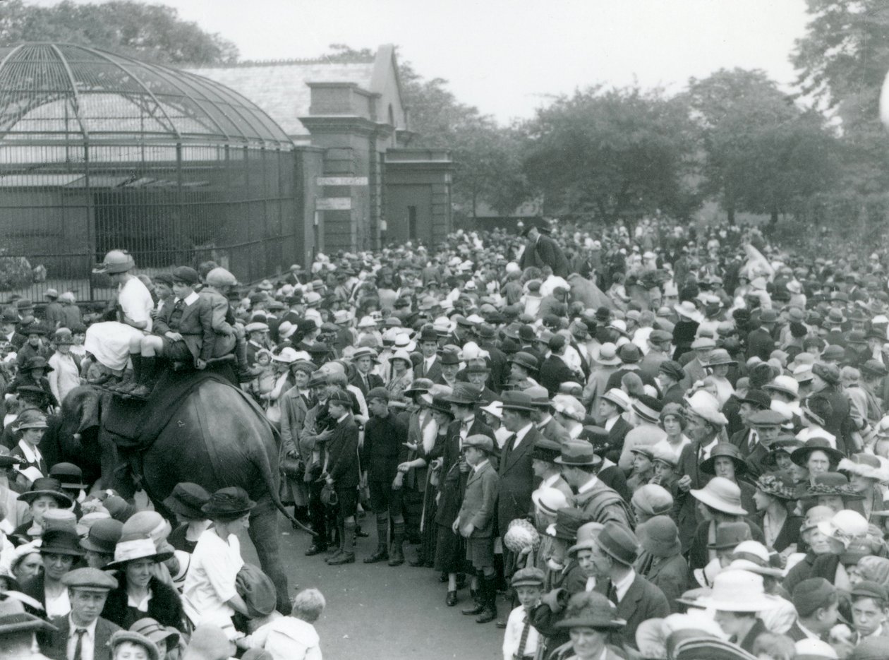 Massor av besökare tittar på en elefantridning på London Zoo, helgdag i augusti 1922 av Frederick William Bond