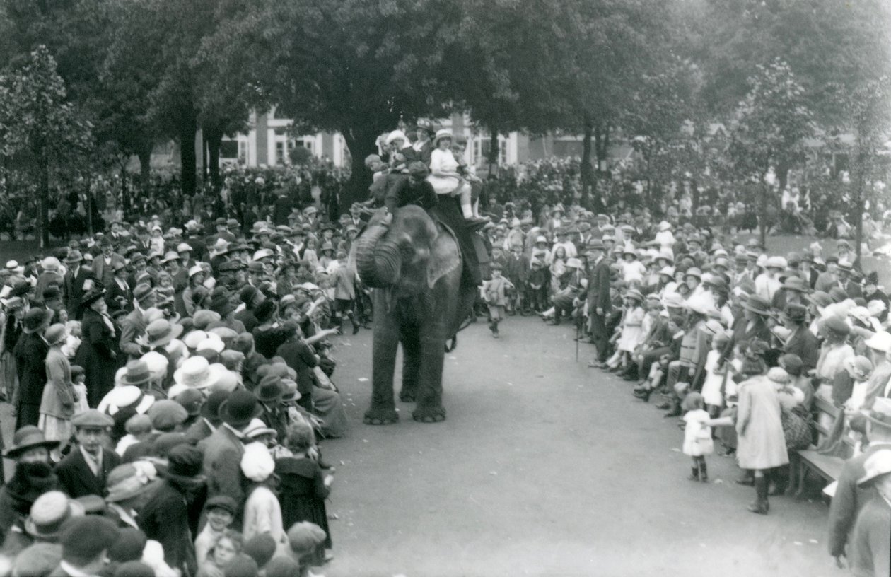 En folkmassa tittar på en elefanttur på London Zoo, augustihelgen 1922. av Frederick William Bond